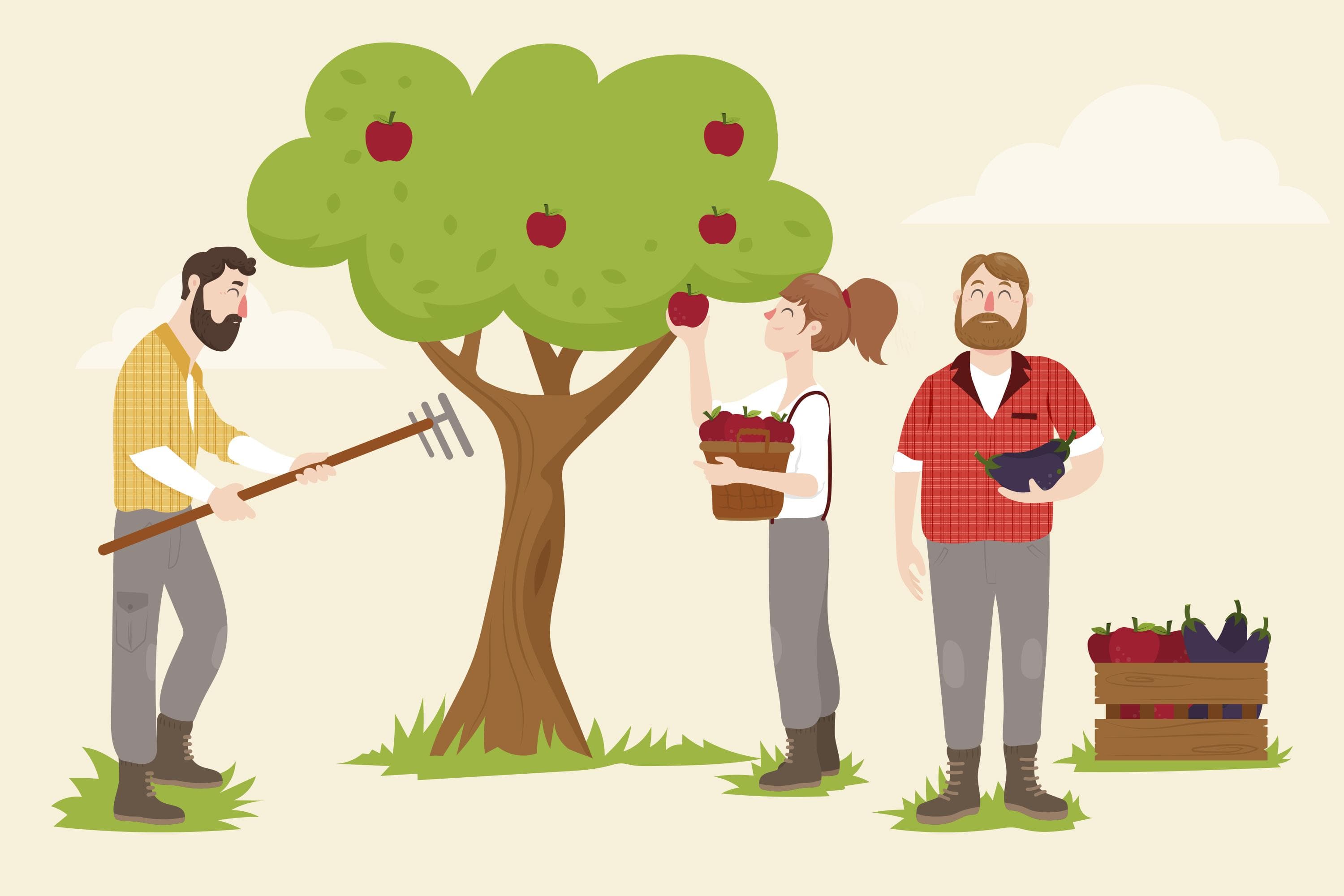 Apple Catcher